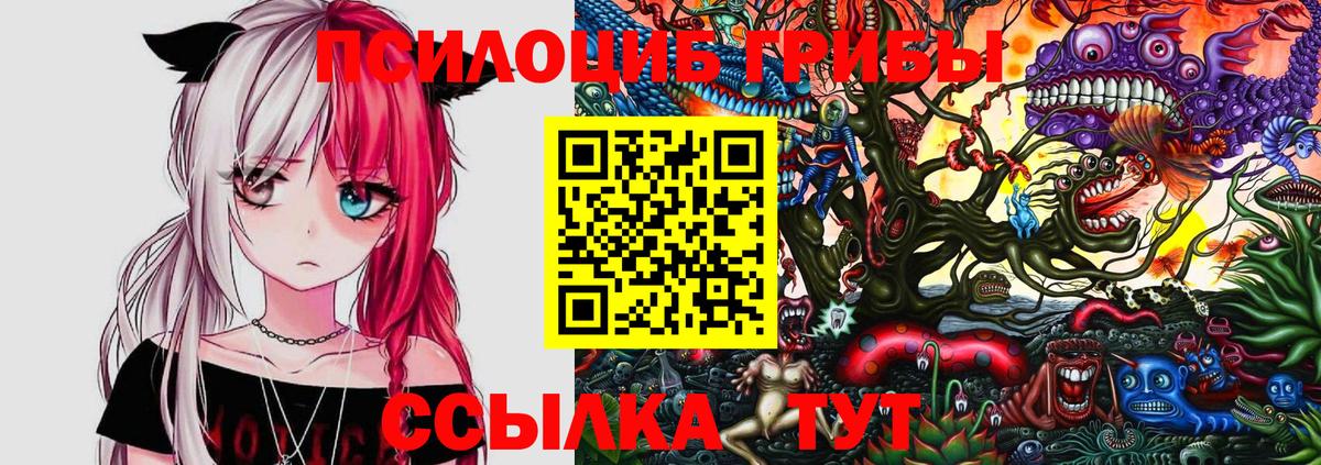Домодедово  Галлюциногенные грибы мицелий  Вход с VPN 